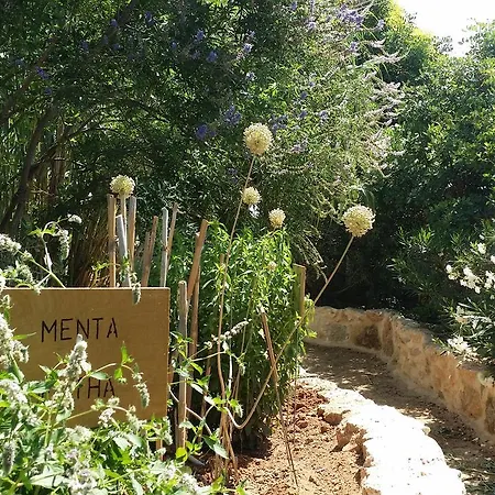 Stone House Flats Apartment Trachoni (Limassol)